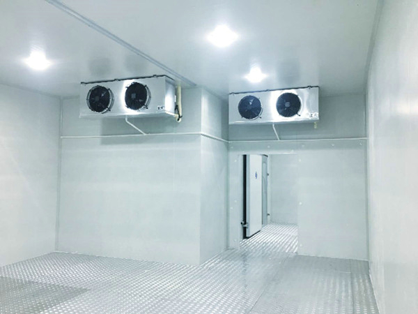 水果冷库