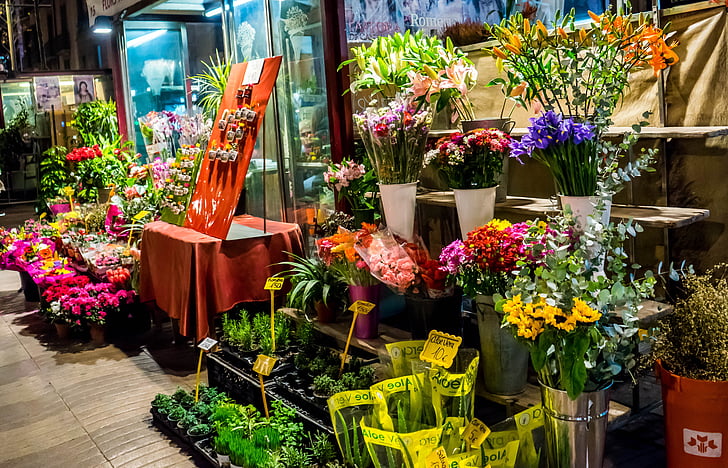 鲜花冷库建设鲜花保鲜技术