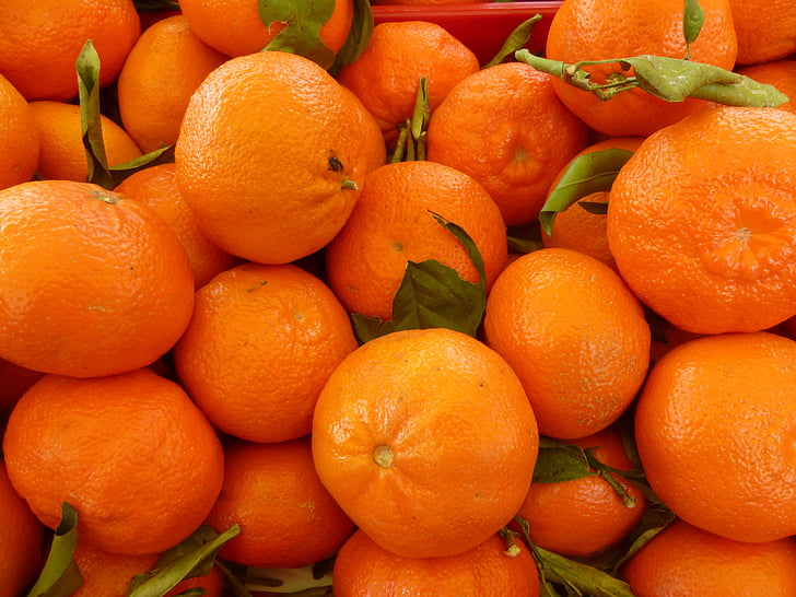 如何使用橙子保鲜冷库贮藏橙子