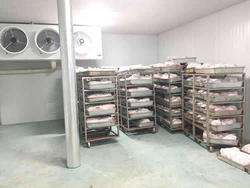 杭州建造10吨鸡肉冷冻冷库工程