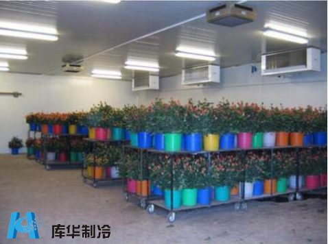 鲜花保鲜冷库建造公司推荐