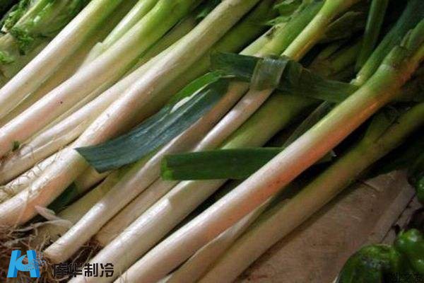 大葱冷库工程该如何存储物品