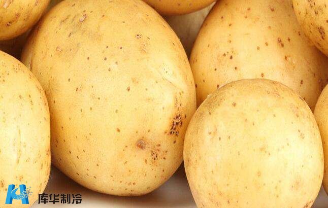 杭州建造200平方土豆保鲜冷库公司推荐