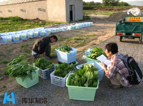 蔬菜保鲜冷库