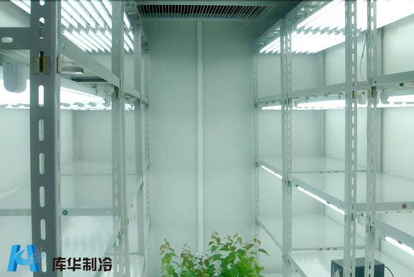 疫苗冷库建造