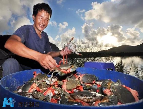 三门海鲜