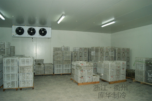 小型冷库造价