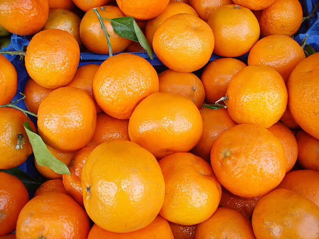 柑橘保鲜