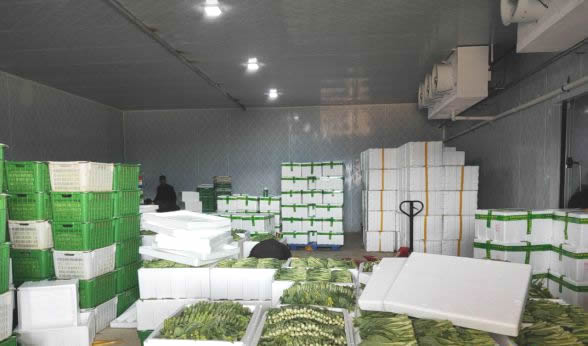 蔬菜保鲜冷库的温度设置及使用注意事项