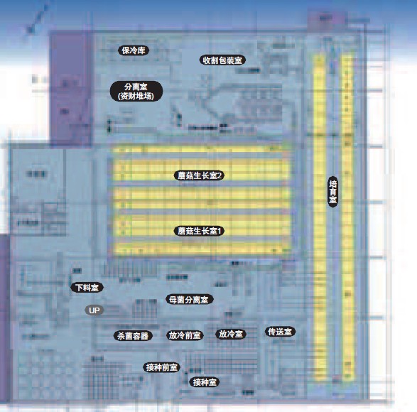 食用菌冷库设计图