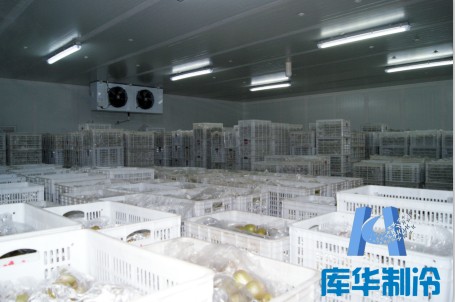 气调库设计建造
